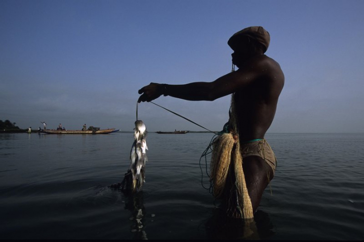 L’archipel des Bijagos, 88 îles à la biodiversité foisonnante L’archipel des Bijagos, 88 îles à la biodiversité foisonnante