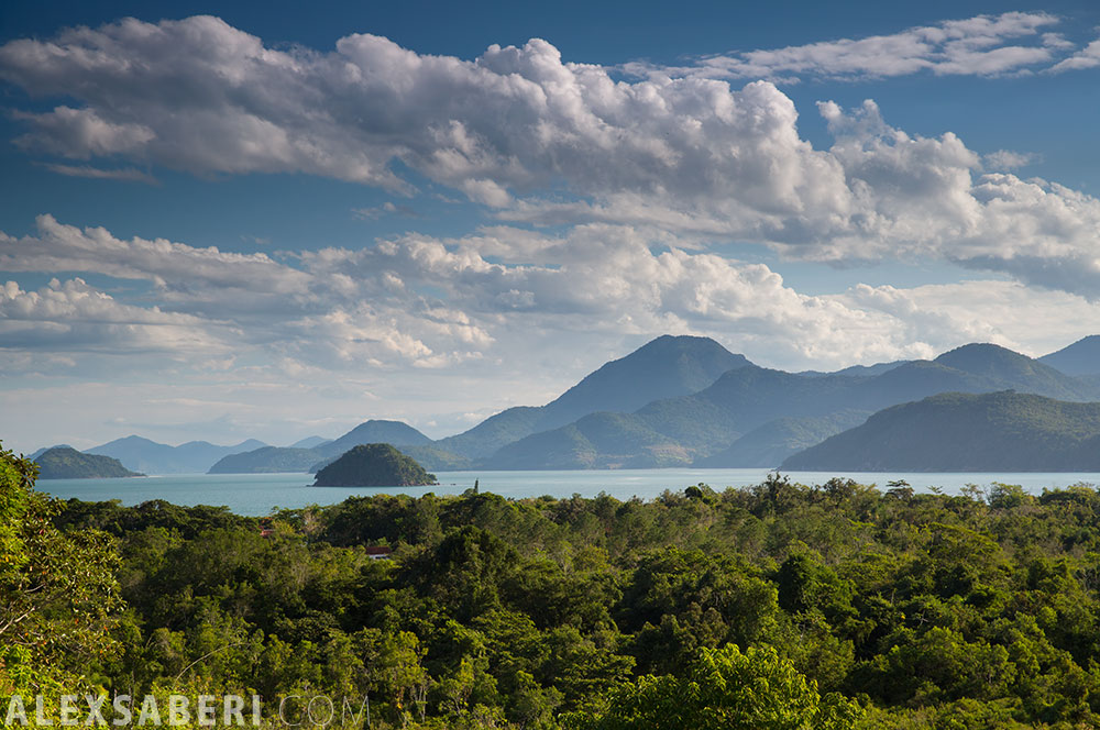 Forêt basse - Ubatuba, Brésil