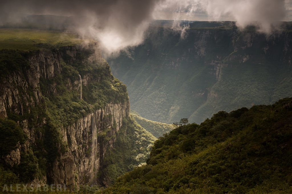 Forêt de montagne - Grande do sul, Brésil