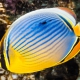 picture of Chaetodon trifasciatus