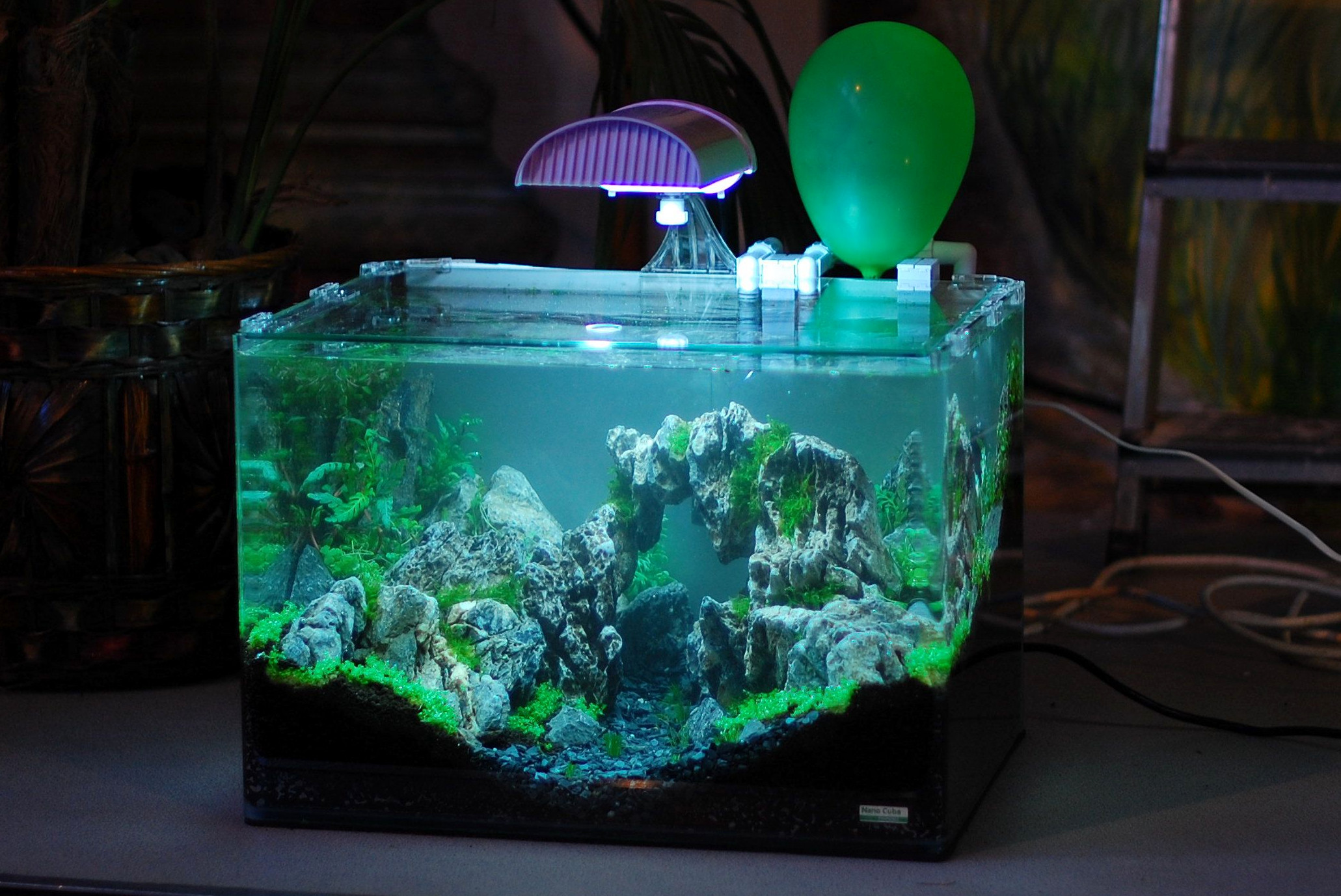 Ampoules pour les animaux de la croissance UV-Arrière Lumière Aquarium citernes feux spectre complet 