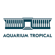 Aquarium_tropical
