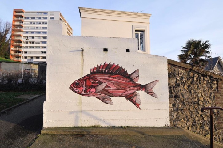 Des poissons dans la ville, entretien avec l’artiste Teuthis Des poissons dans la ville, entretien avec l’artiste Teuthis