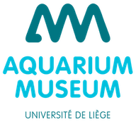 Aquarium-Muséum de Liège