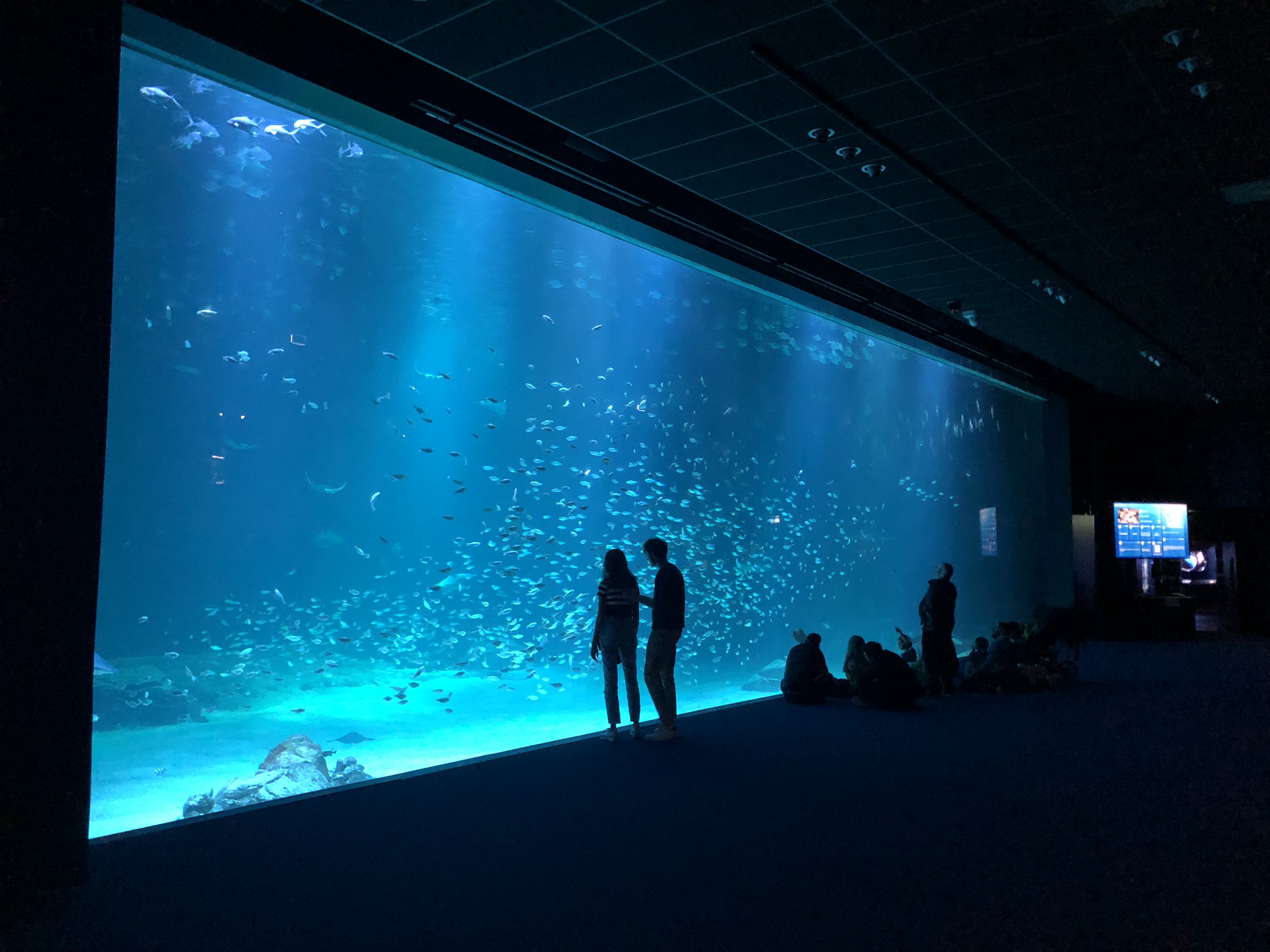 fish fishipedia home