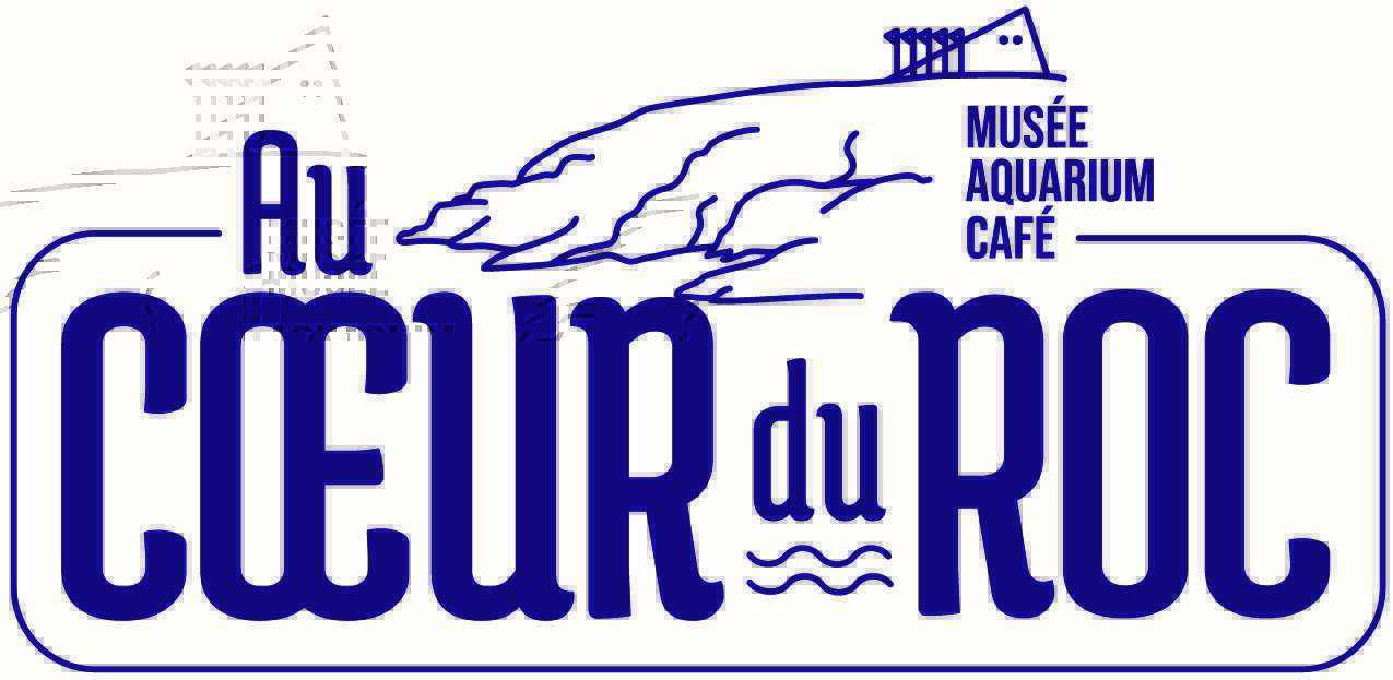 Au coeur du Roc